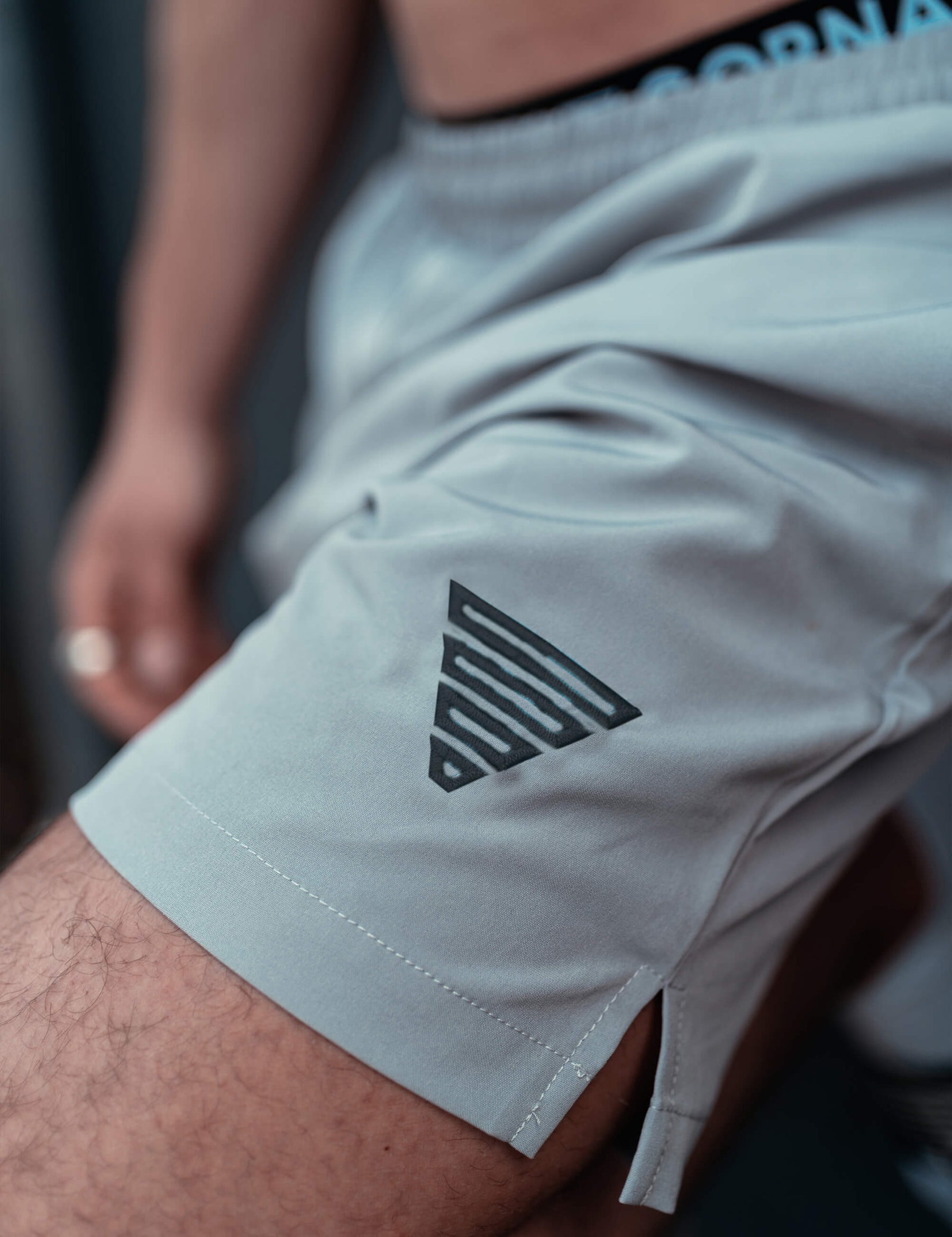 Performance Shorts