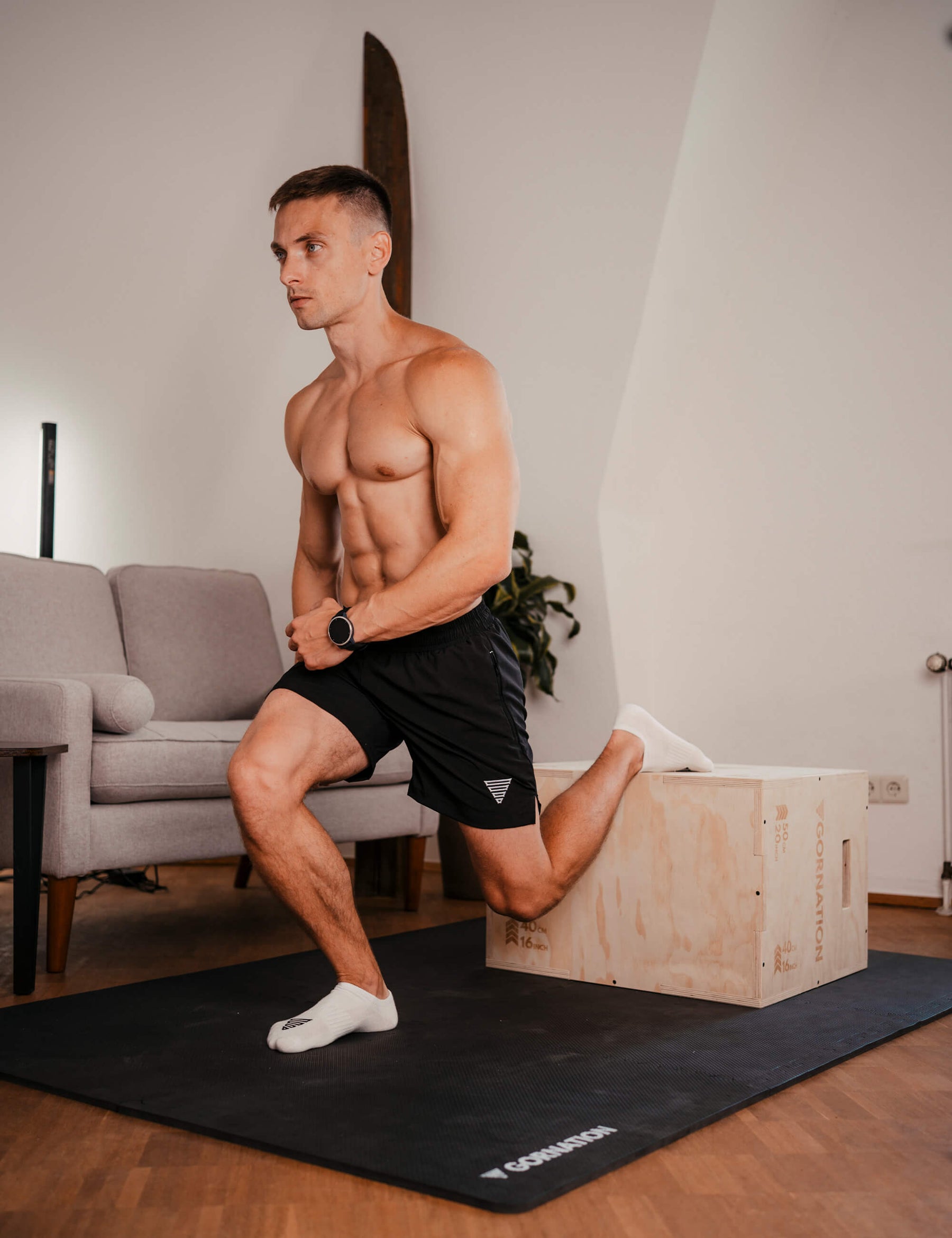 Wooden Plyo Box