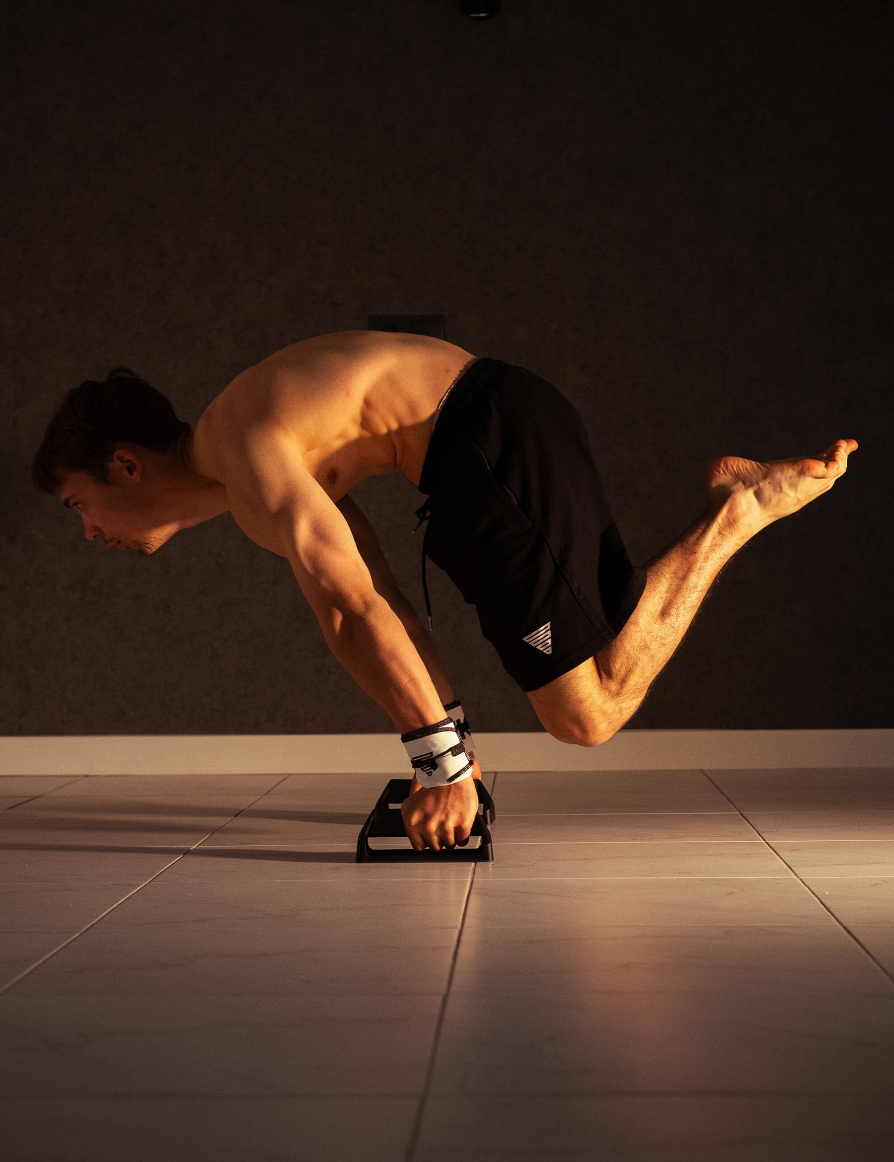 Push Up Bars