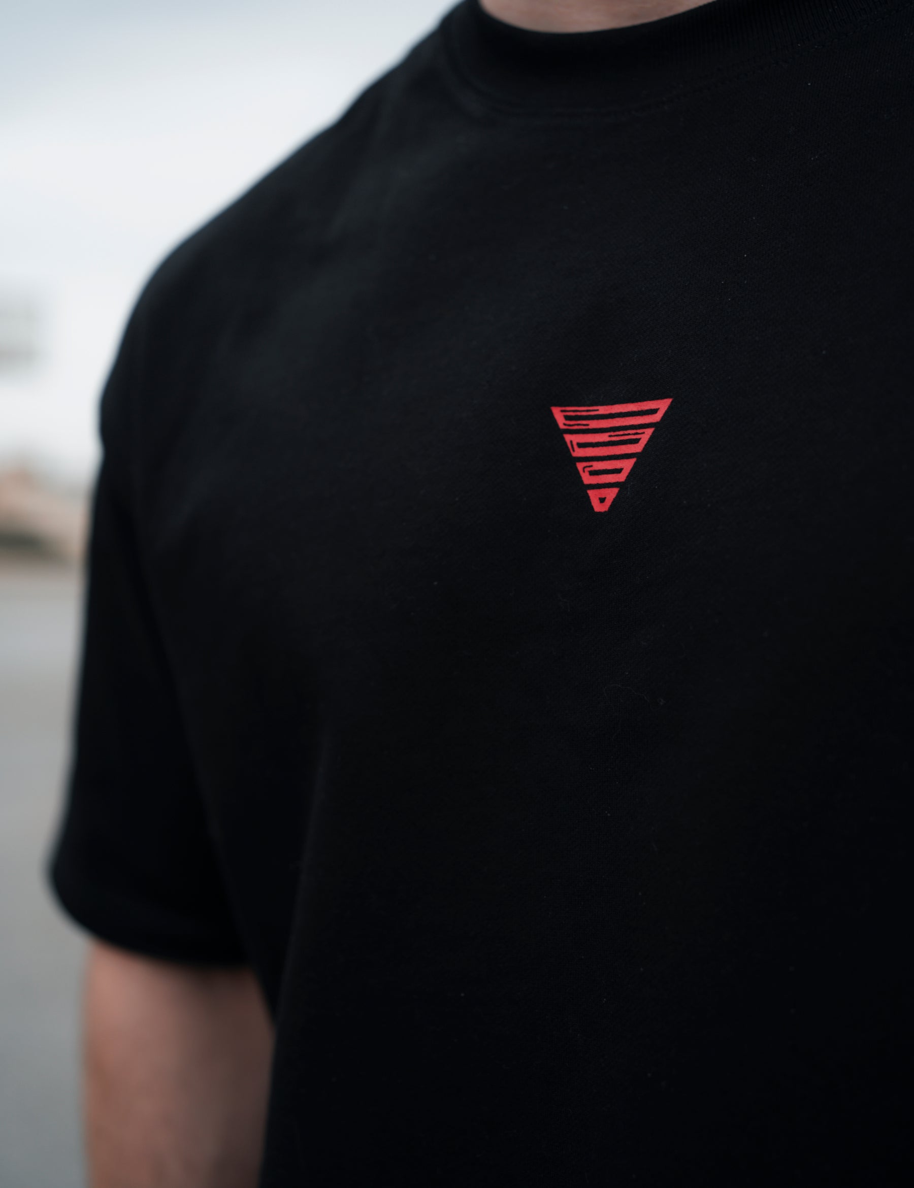 Saru Oversized T-Shirt