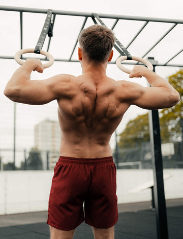 Olympic Birchwood Gymnastics Rings with Straps GORNATION