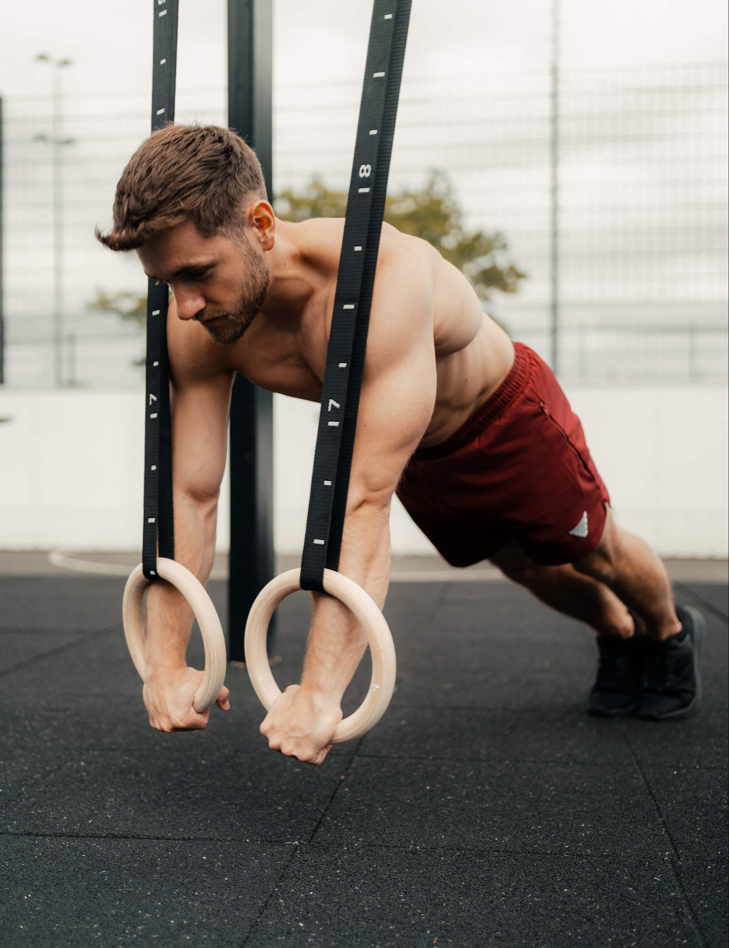 Olympic Birchwood Gymnastics Rings with Straps | GORNATION