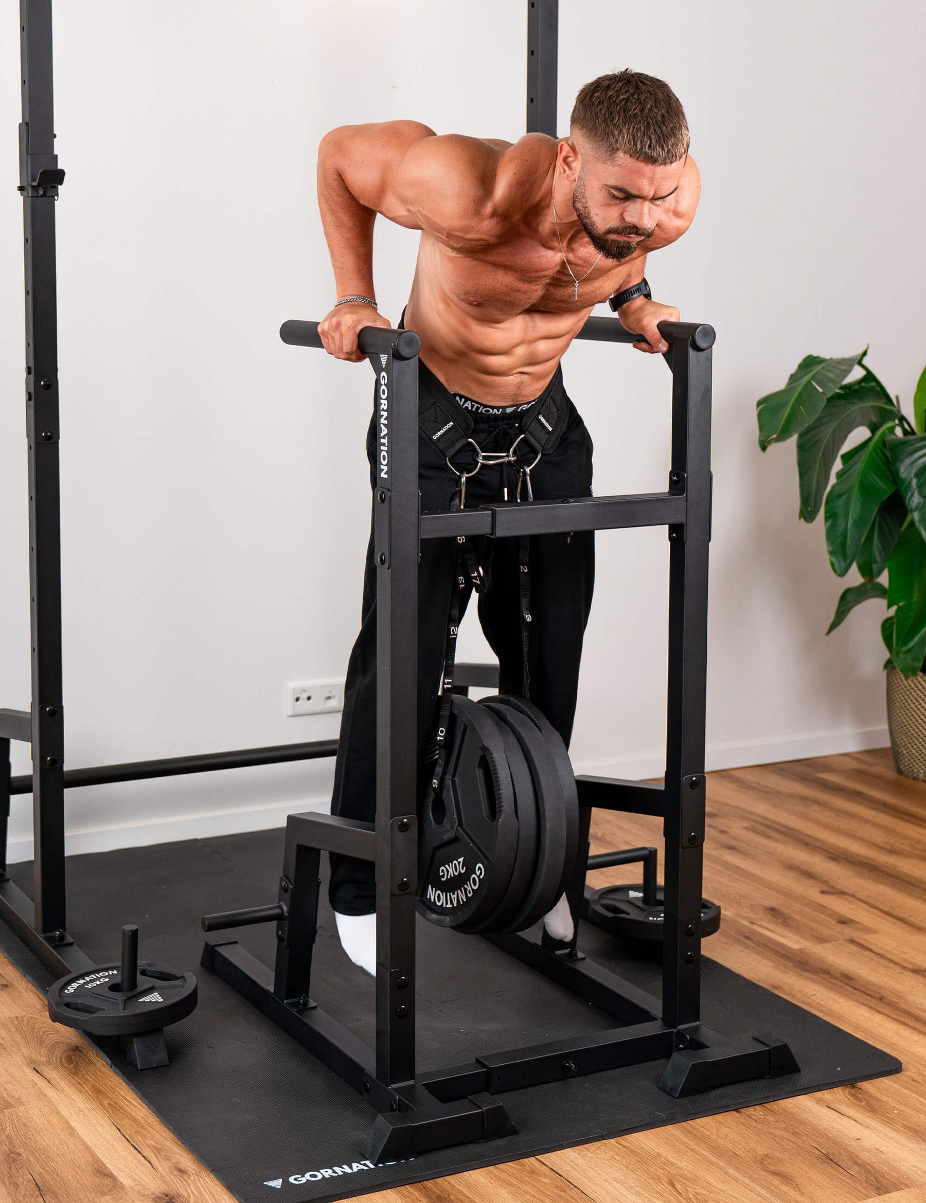 Station de Dips Premium
