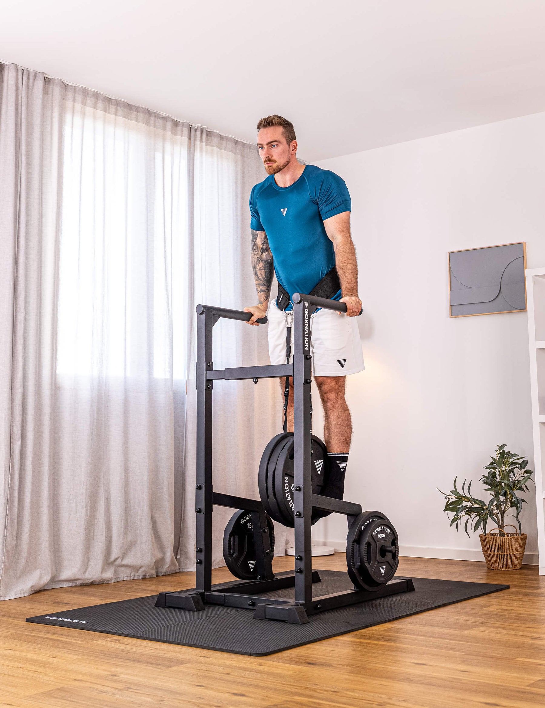 Stazione per Dip Premium