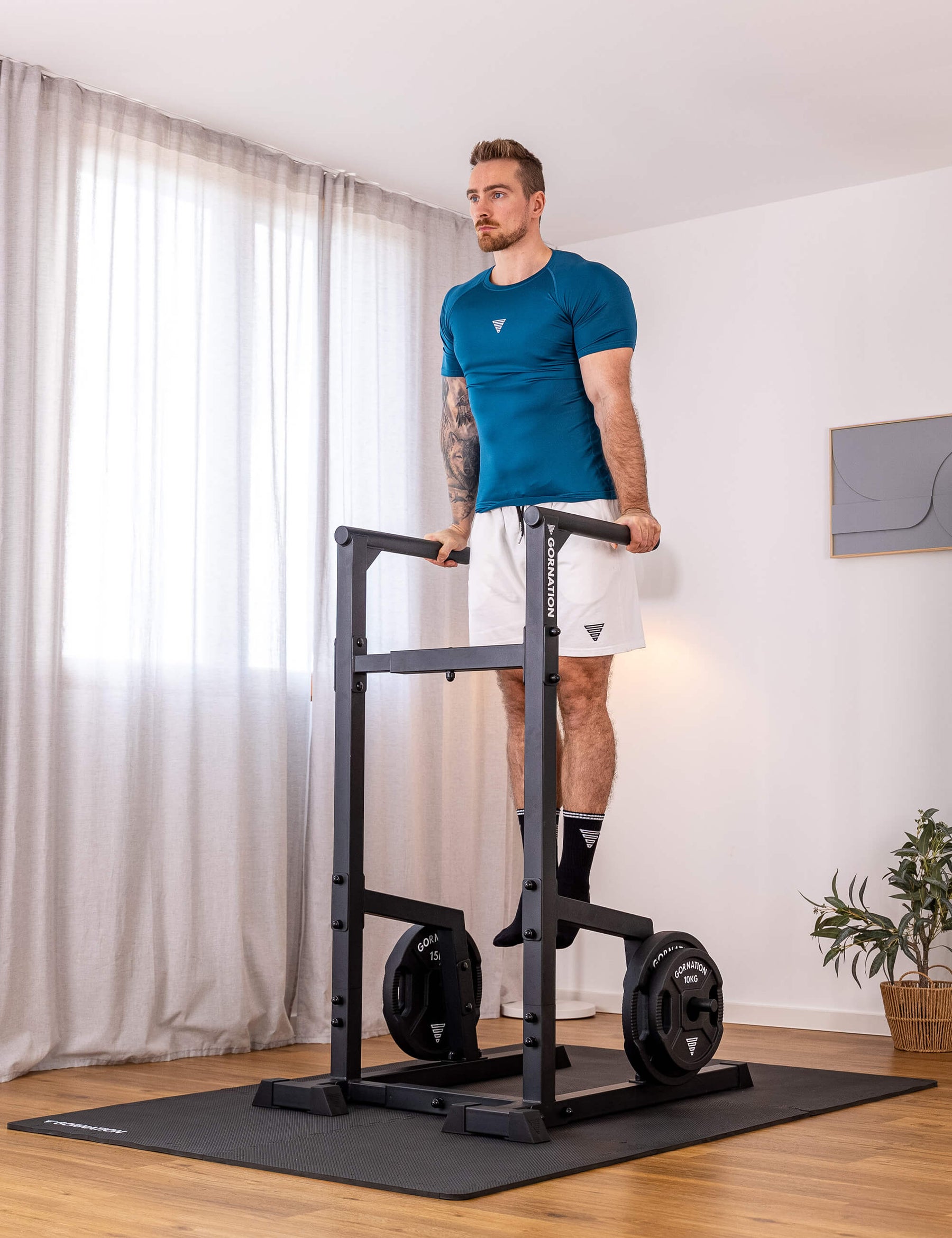 Stazione per Dip Premium