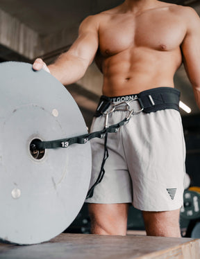 Premium Dip Belt