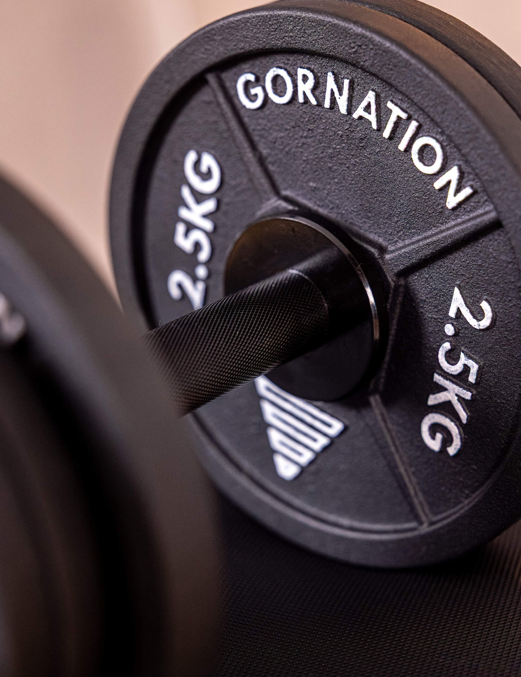 Dumbbell with Clips (Set of 2)