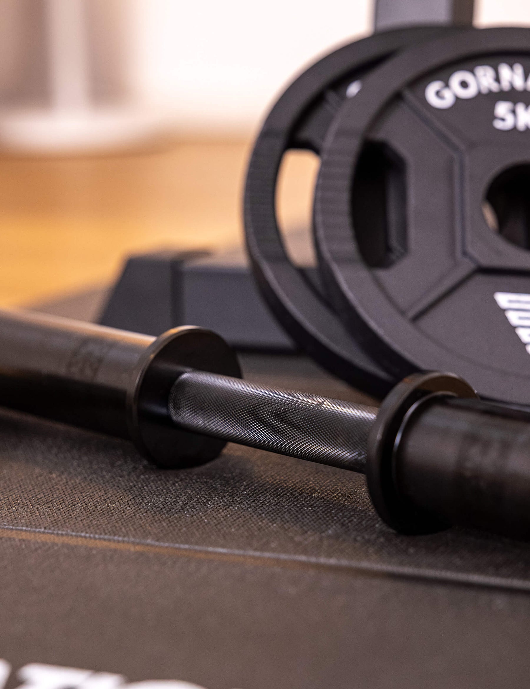 Dumbbell with Clips (Set of 2)