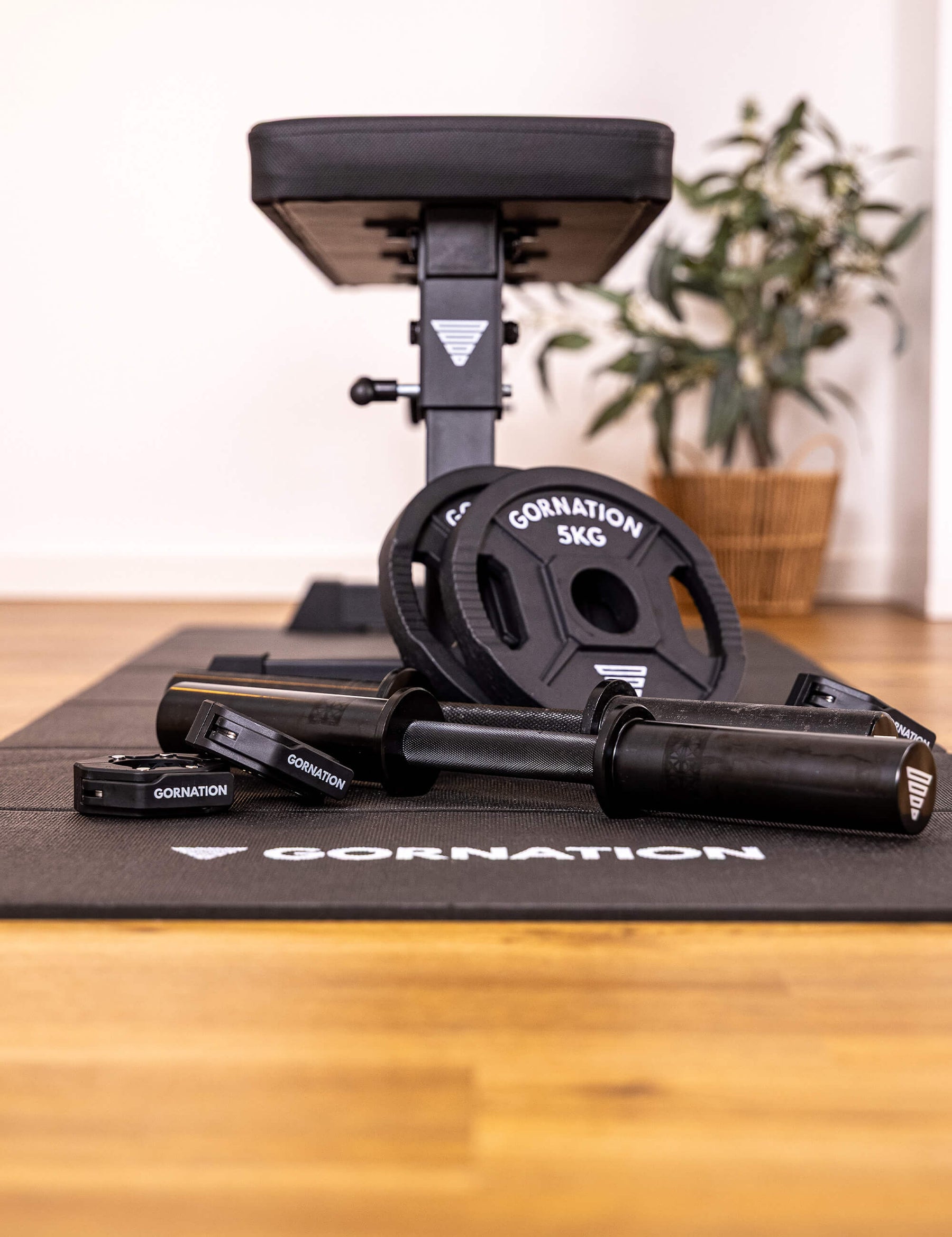 Dumbbell with Clips (Set of 2)