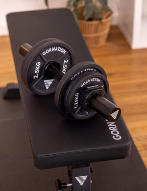 Dumbbell with Clips (Set of 2)