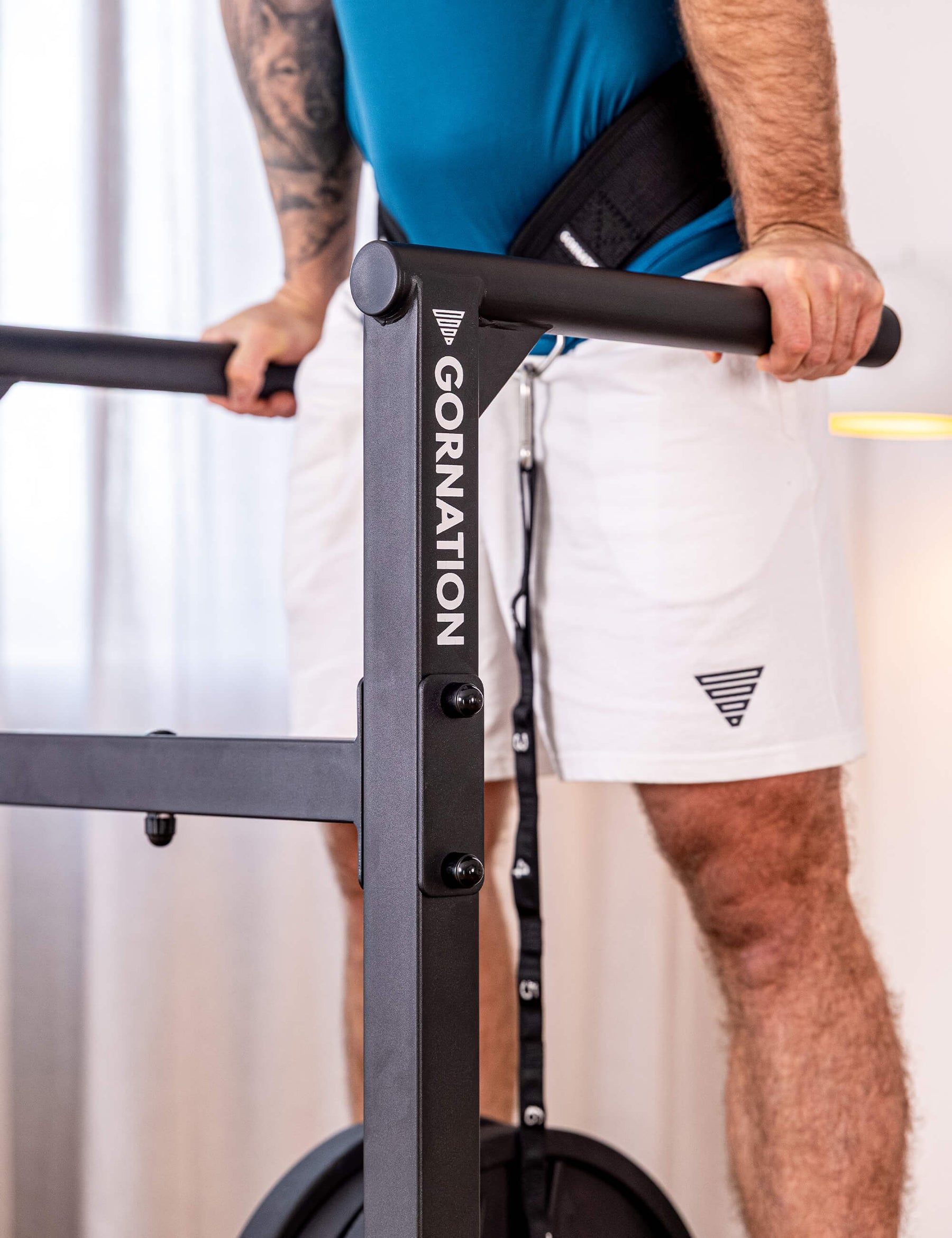 Stazione per Dip Premium