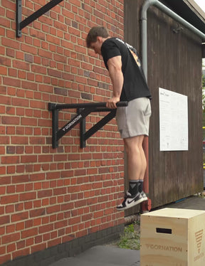 Wall Mounted Dip Bars
