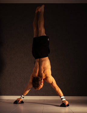 Push Up Bars