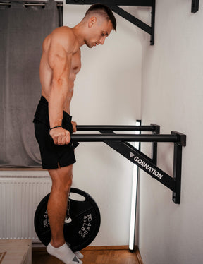 Wall Mounted Dip Bars