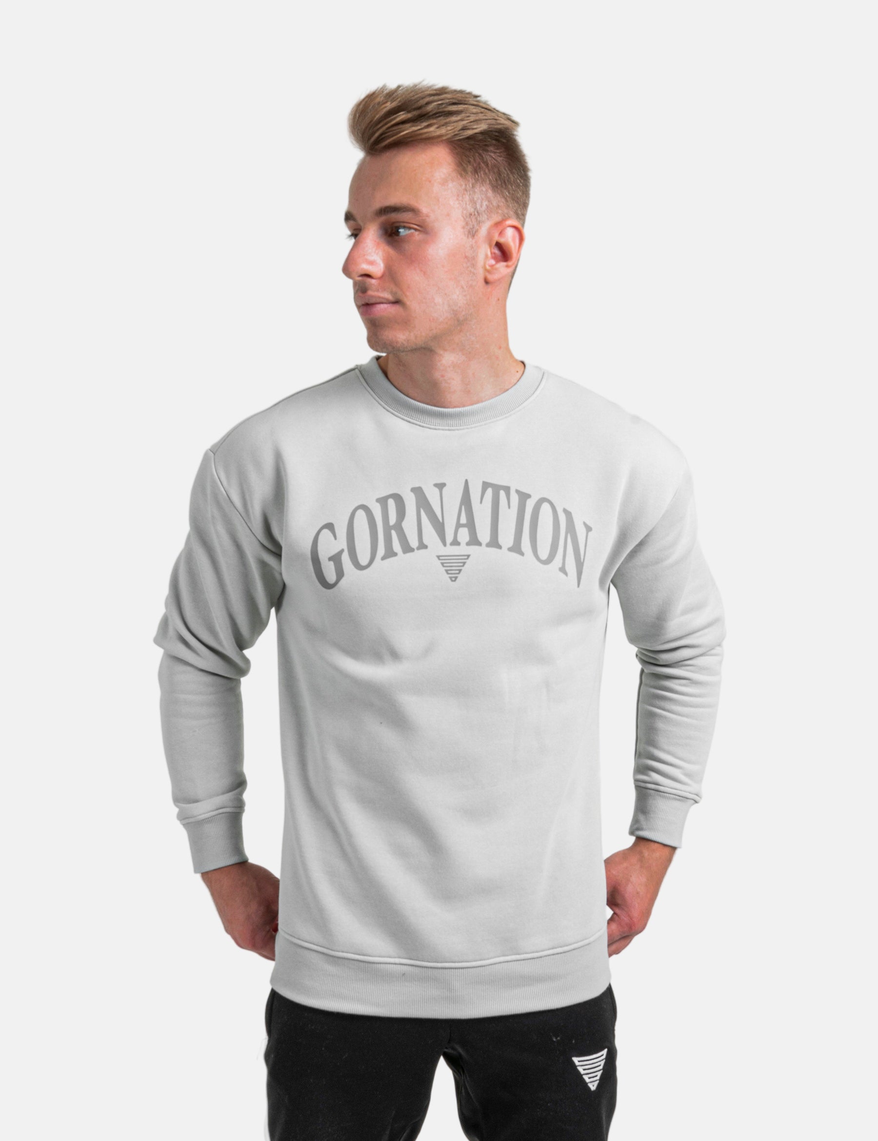 Champion sweater academy 360 hotsell